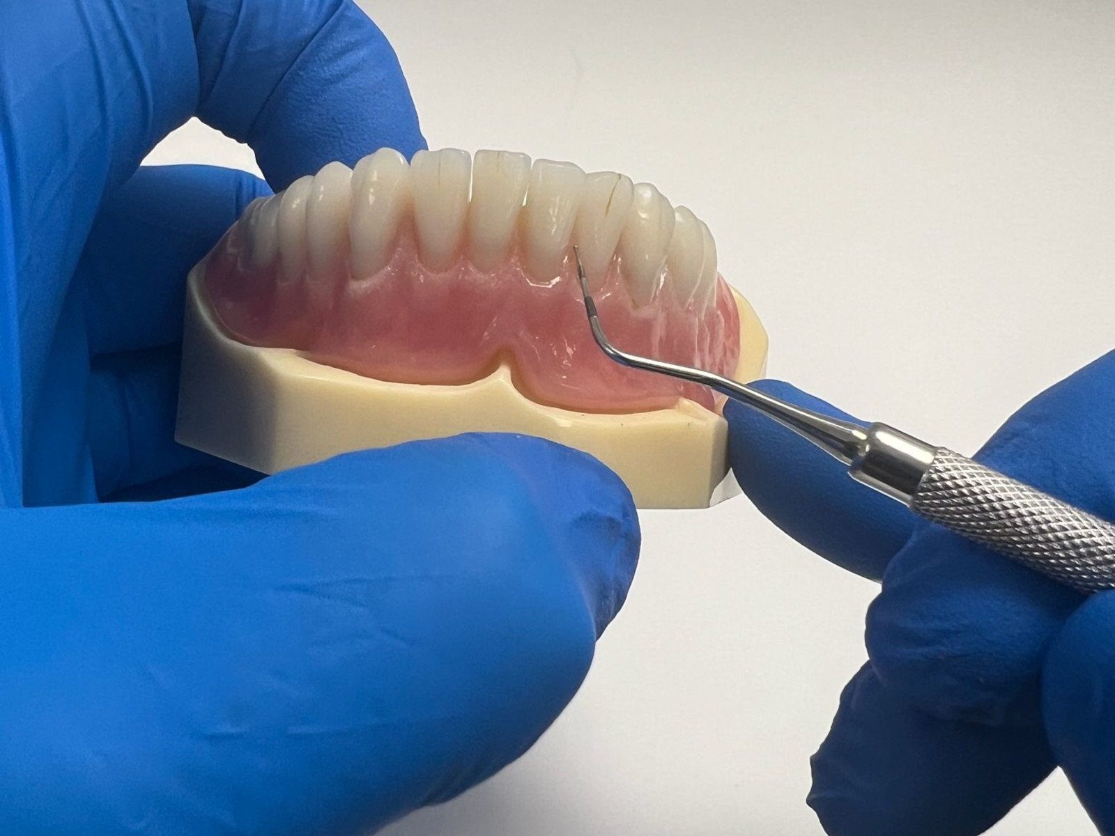 Teeth Wax Model